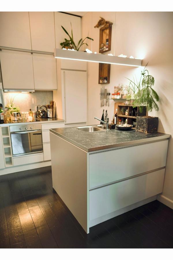 Lovely, 1898 Jugendstil Design Apartment, Old Haarlem City Centre, Fully Renovated With Parkview Near Amsterdam And Zandvoort, Bloemendaal Beach Dış mekan fotoğraf